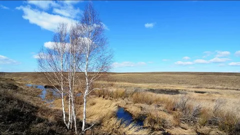 Тёплый старт. Весна набирает обороты
