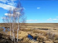 Тёплый старт. Весна набирает обороты