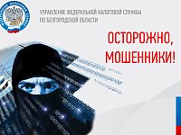 Управление призывает проявлять бдительность и не поддаваться на уловки интернет-мошенников   