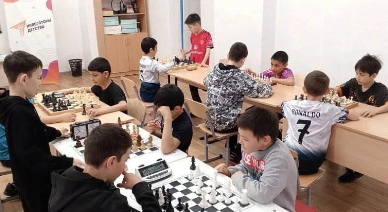 Стратеги  шахматных полей